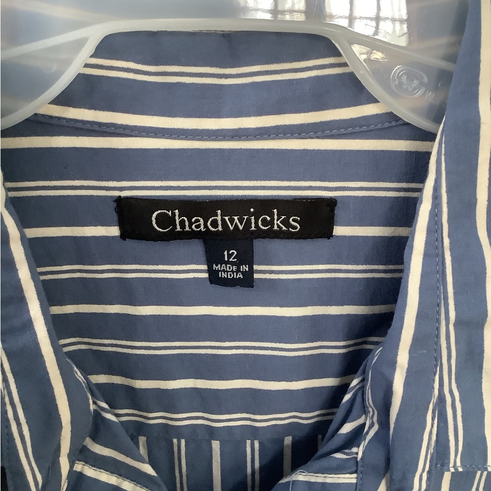 Closet Dump Chadwick’s Blue and White Striped Shirt Size 12